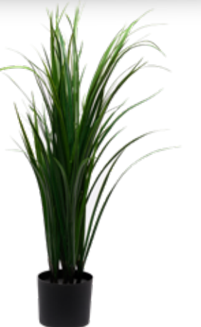Acessório Capim Limão (118 cm)