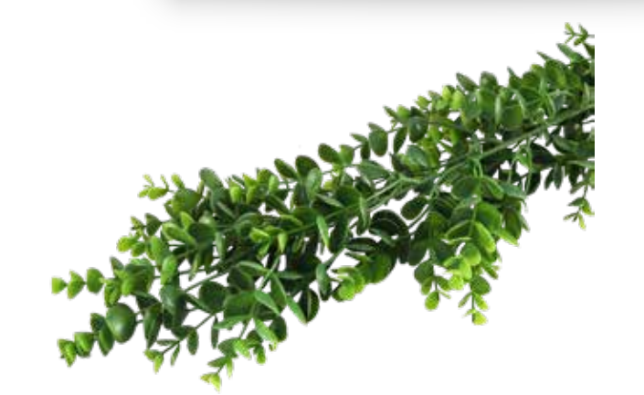 Acessório Eucalipto Pendente (85 cm)