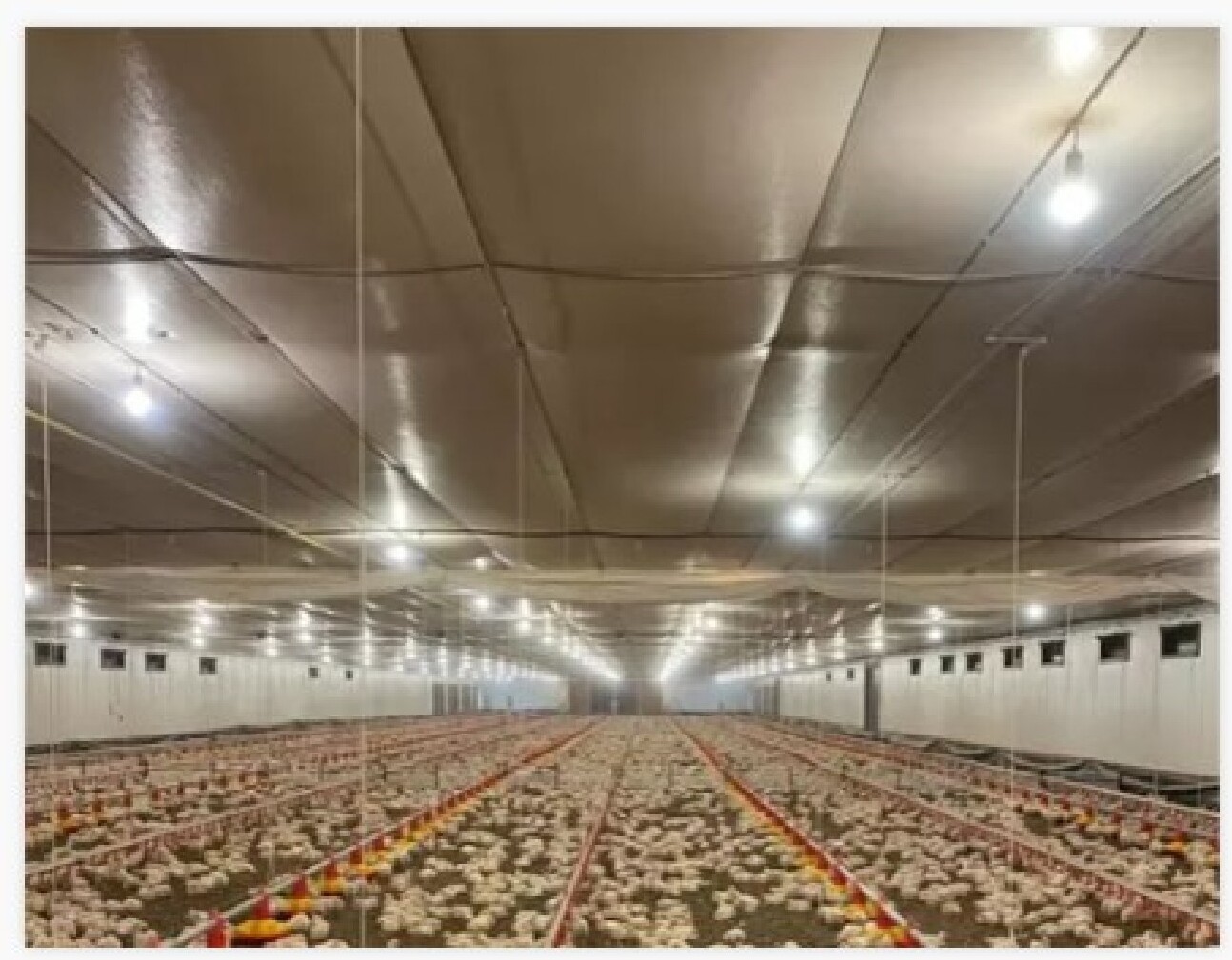 Midfelt Agro