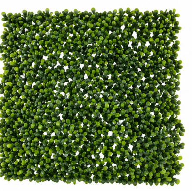 Jardim Muro Inglês
