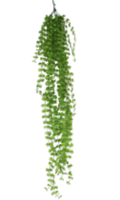 Acessório Murta Pendente (170 cm)