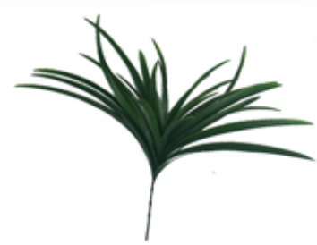 Acessório Palmeira Grass (32,5 cm)